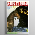 Sentinel UFO News 003