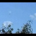 Australian UFO wave 25 (fake)