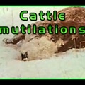 Cattle mutilations (with Jacques Vallée)
