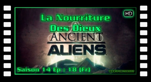 La Nourriture Des Dieux - Alien theory S14E18 (Fr)