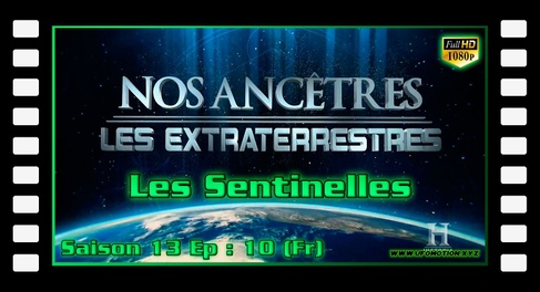 Les Sentinelles - Alien Theory S13E10 (Fr)