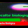 S02E05 Récolte biologique (vostfr google)