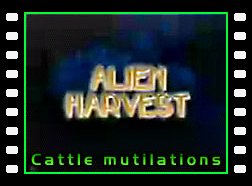 Alien Harvest - Cattle Mutilations