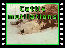 Cattle mutilations (with Jacques Vallée)