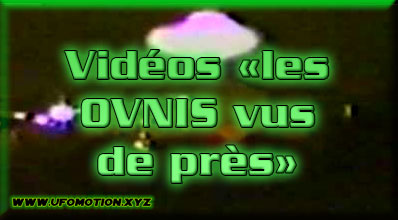 Vidéos du site 