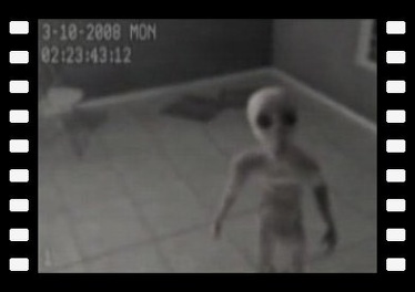 Captive alien fake