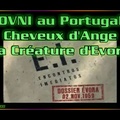 OVNI au Portugal - Cheveux d'Ange - La créature d'Evora (HD VOSTFR)