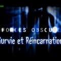 Survie et Réincarnation - Forces Obscures Ep: 2