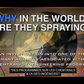 Why in the world are they spraying ? vostfr