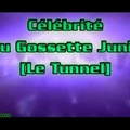 Célébrité Lou Gossette Junior [Le Tunnel]
