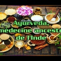 Ayurveda, la médecine ancestrale de l'Inde