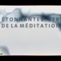 Les étonnantes vertus de la méditation (HD)