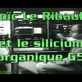 Loïc Le Ribault et le silicium organique G5