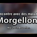 MORGELLONS ENFER NANOTECHNOLOGIQUE