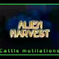 Alien Harvest - Cattle Mutilations