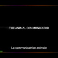La Communicatrice Animale - Anna Breytenbach