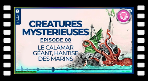  Le calamar géant : la hantise des marins - Créatures Mystérieuses (8/10)