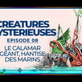  Le calamar géant : la hantise des marins - Créatures Mystérieuses (8/10)