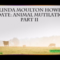 Linda Moulton Howe Animal Mutilations Part II Audio