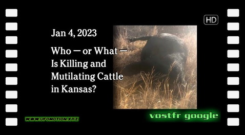 Jan 4 - Who - or What - Is Killing and Mutilating Cattle in Kansas? (vostfr google)