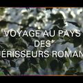 Voyage au pays des guérisseurs romands