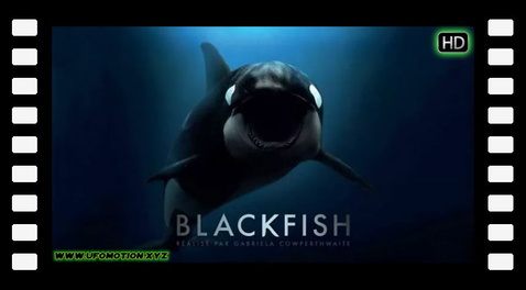 Blackfish (2013)
