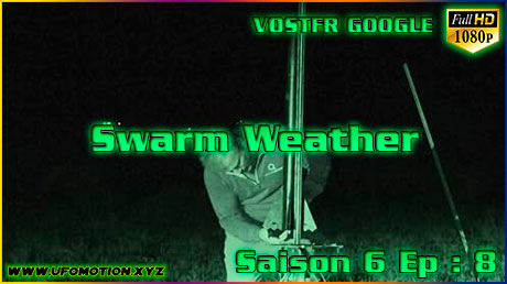 S6.E8 ∙ Swarm Weather — vignette