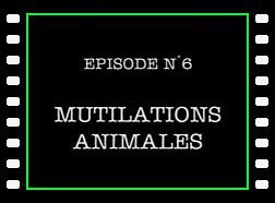 Dossiers Ovni 6 - Mutilations Animales