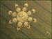 crop81
