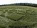 avebury200c