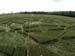 avebury200d