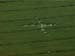 aveburymanor2002a