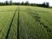 aveburymanor2002hh