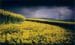 northdown2002h
