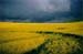 northdown2002i