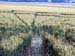 windmillhill2002kn1