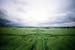 Wiltshire_032_Barbury_Castl