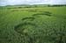 Wiltshire_035_Allington