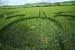 Wiltshire_036_Allington